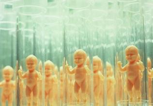 陈医生